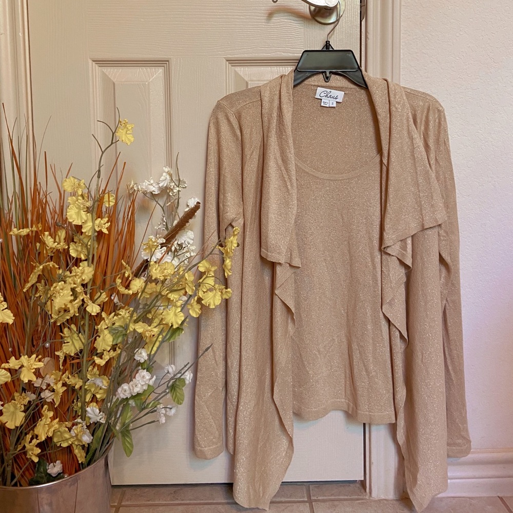 Chaus sparkly gold sweater set
